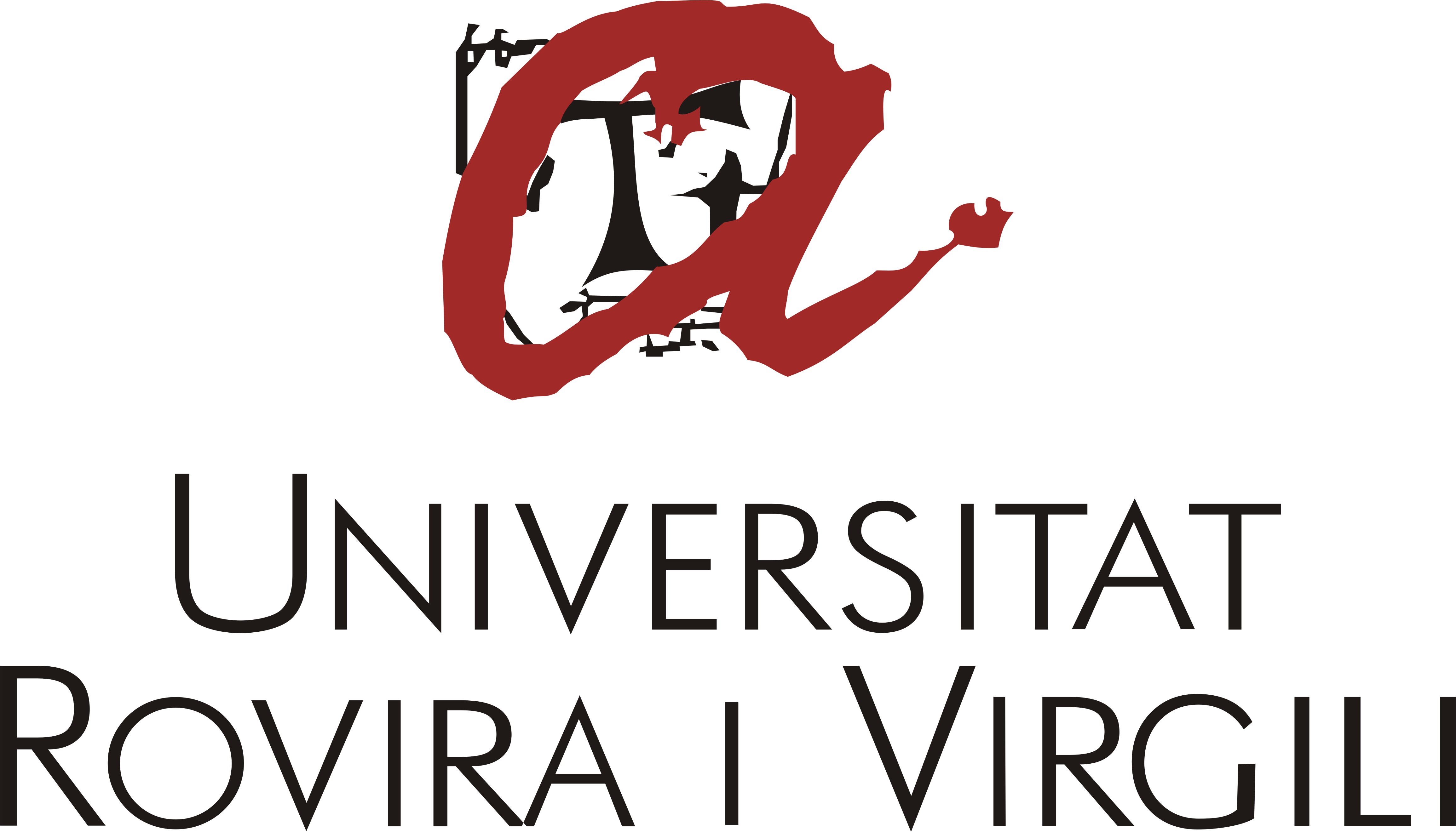 Universidad Rovira I Virgili