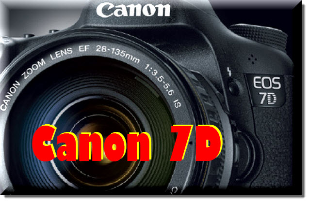 Canon 7D