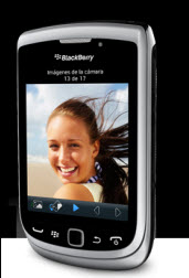 Blackberry Torch 9810