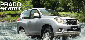 Toyota Prado Sumo