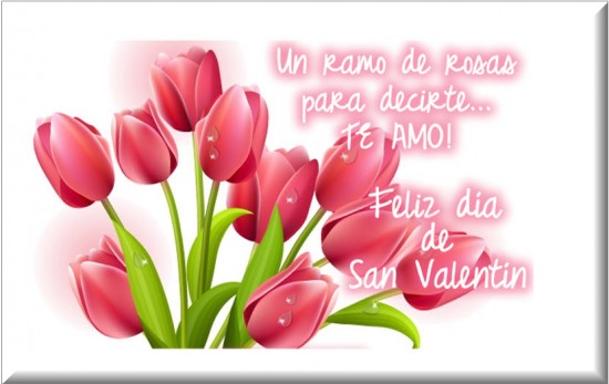 Danna García Feliz día de San Valentín :):) - Página 2 Feliz-Dia-San-Valentin-550x347