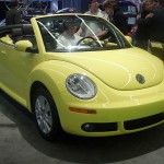 New Beetle Volkswagen 17