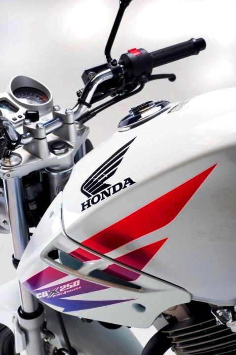 Honda CBX 250 Twister Detalle del tanque