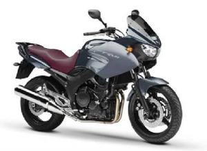 Yamaha TDM 900 GRIS