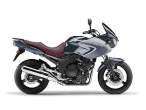 Yamaha TDM 900 perfil
