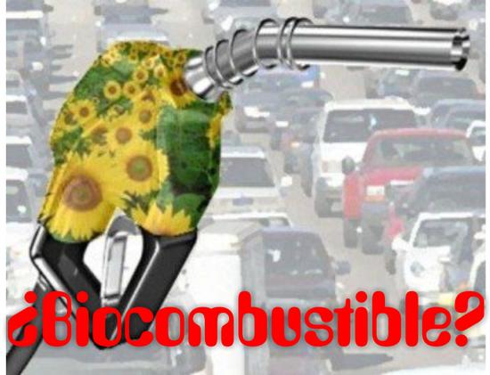 biocombustible