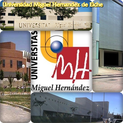 Universidad Miguel Hernandez de Elche