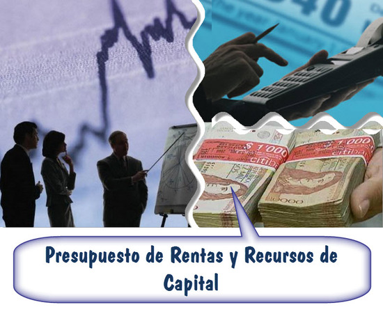 Ley 17 de 1992 en Colombia, Presupuesto de Rentas y Recursos de Capital