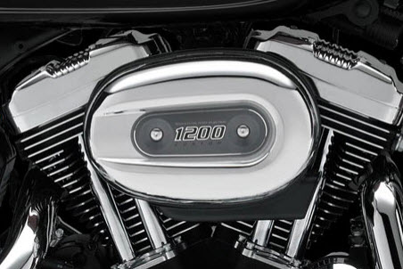 Harley Davidson 1200 Custom, motor
