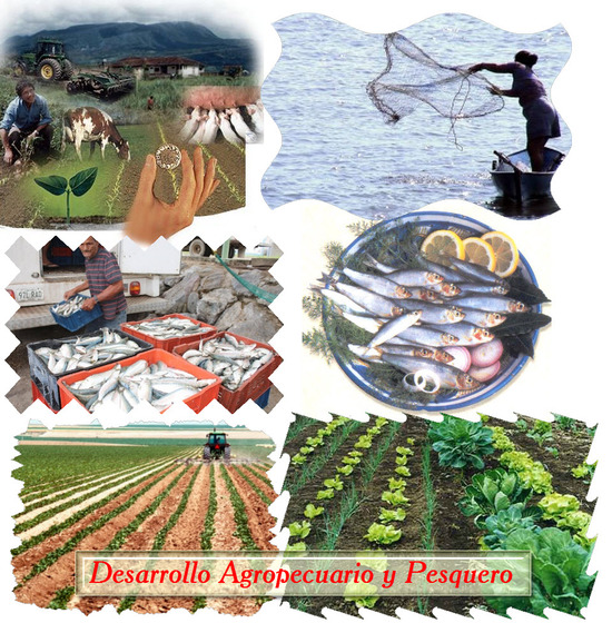 Ley 101 de 1993 en Colombia, Desarrollo Agropecuario y Pesquero