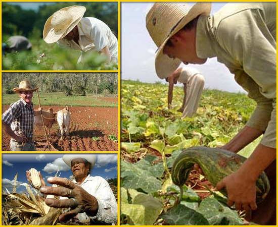Ley General del Sistema Nacional de Reforma Agraria y Desarrollo Rural Campesino 