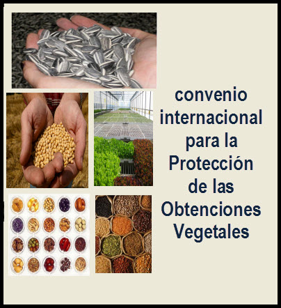 ley 243 de 1995 en colombia,convenio internacional para la atención de las Obtenciones Vegetales