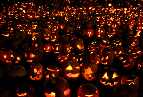 Halloween  imágenes Calabazas