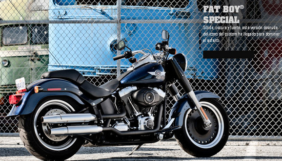 Harley Davidson Fat Boy Special