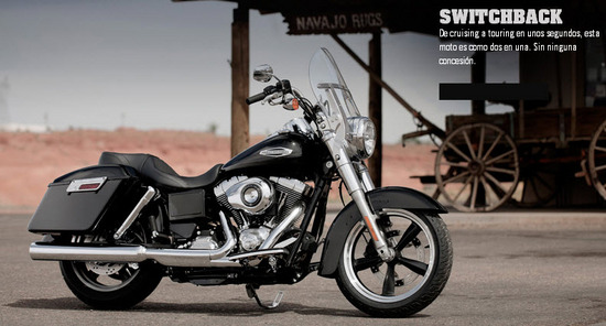Harley Davidson Switchback