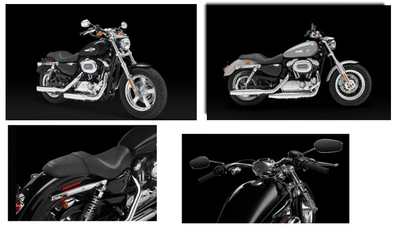 Harley Davidson 1200 Custom 2012