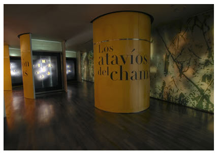 Museo del Oro Bogota, El  vuelo chamanico