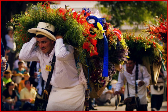 Feria de las Flores 2012, desfile de silleteros