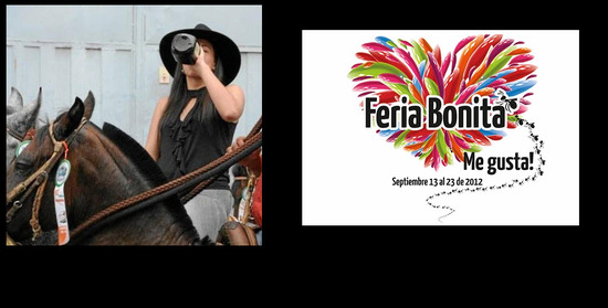 Feria Bonita 2012 en Bucaramanga