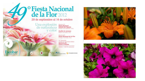 Fiesta Nacional de la Flor 2012 