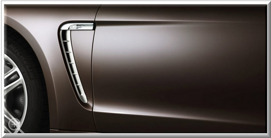 Porsche Panamera Platinum Edition , acabados