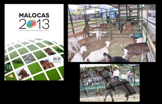 Feria Malocas 2013 