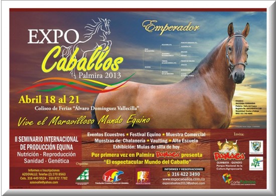 Cartel Oficial ExpoCaballos en Palmira 2013