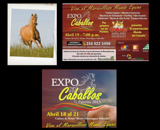 ExpoCaballos 2013
