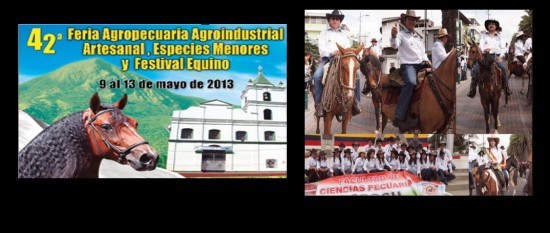 Feria Agroindustrial Artesanal , Especies Menores y Festival Equino, en Tolima 2013