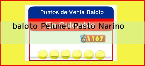 <b>baloto Pelunet</b> Pasto Narino