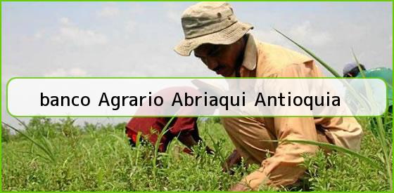 <b>banco Agrario Abriaqui Antioquia</b>