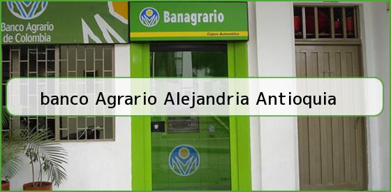 <b>banco Agrario Alejandria Antioquia</b>