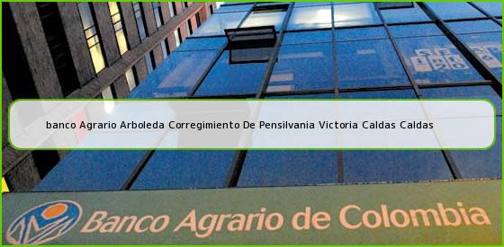 <b>banco Agrario Arboleda Corregimiento De Pensilvania Victoria Caldas Caldas</b>