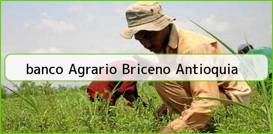 <b>banco Agrario Briceno Antioquia</b>