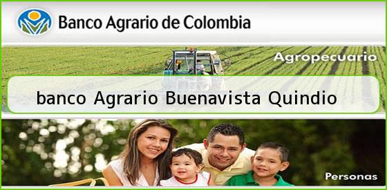 <b>banco Agrario Buenavista Quindio</b>