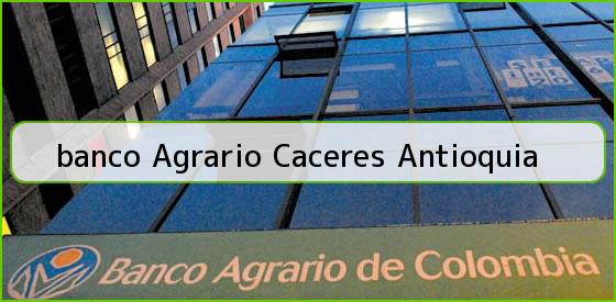 <b>banco Agrario Caceres Antioquia</b>