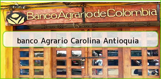 <b>banco Agrario Carolina Antioquia</b>