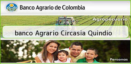 <b>banco Agrario Circasia Quindio</b>