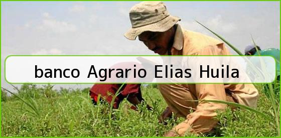 <b>banco Agrario Elias Huila</b>