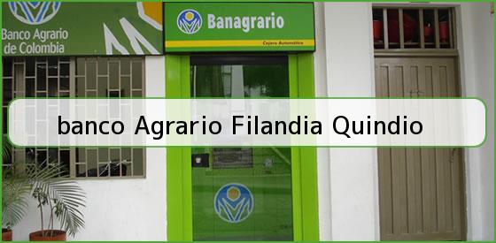 Ver banco agrario filandia quindio <b>banco Agrario Filandia Quindio</b>