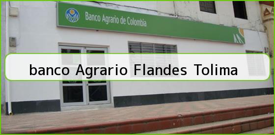 <b>banco Agrario Flandes Tolima</b>