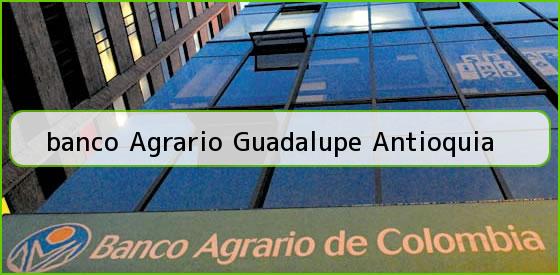 <b>banco Agrario Guadalupe Antioquia</b>