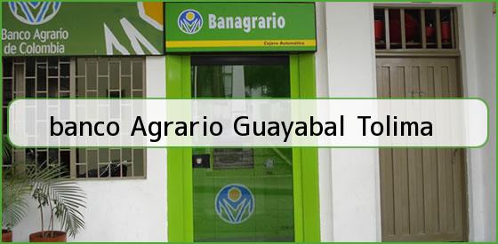 <b>banco Agrario Guayabal Tolima</b>