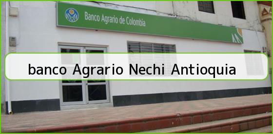 <b>banco Agrario Nechi Antioquia</b>