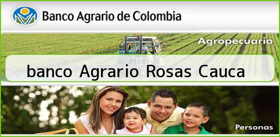 <b>banco Agrario Rosas Cauca</b>
