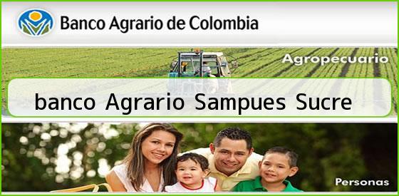 <b>banco Agrario Sampues Sucre</b>