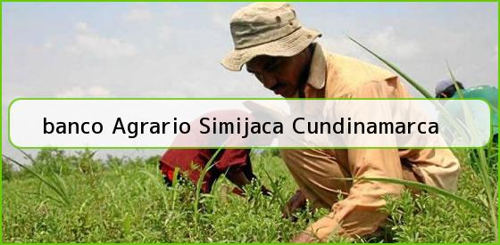 Ver banco agrario simijaca cundinamarca <b>banco Agrario Simijaca Cundinamarca</b>