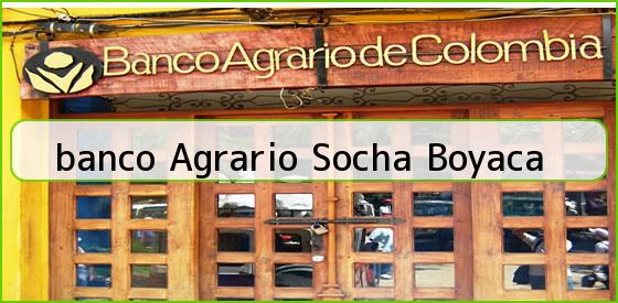 <b>banco Agrario Socha Boyaca</b>