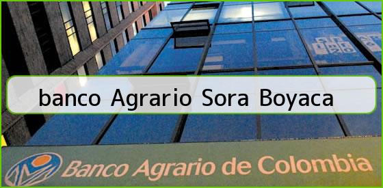 <b>banco Agrario Sora Boyaca</b>