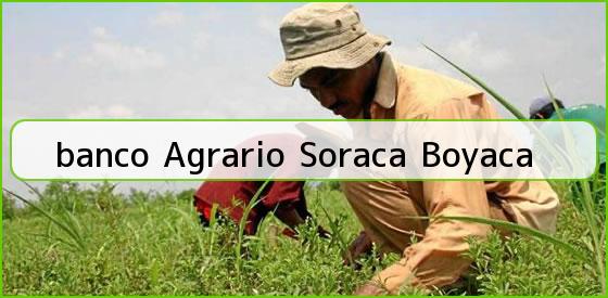 <b>banco Agrario Soraca Boyaca</b>